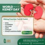 Kidney Function Test Qlabs Clincal Lab in Dubai